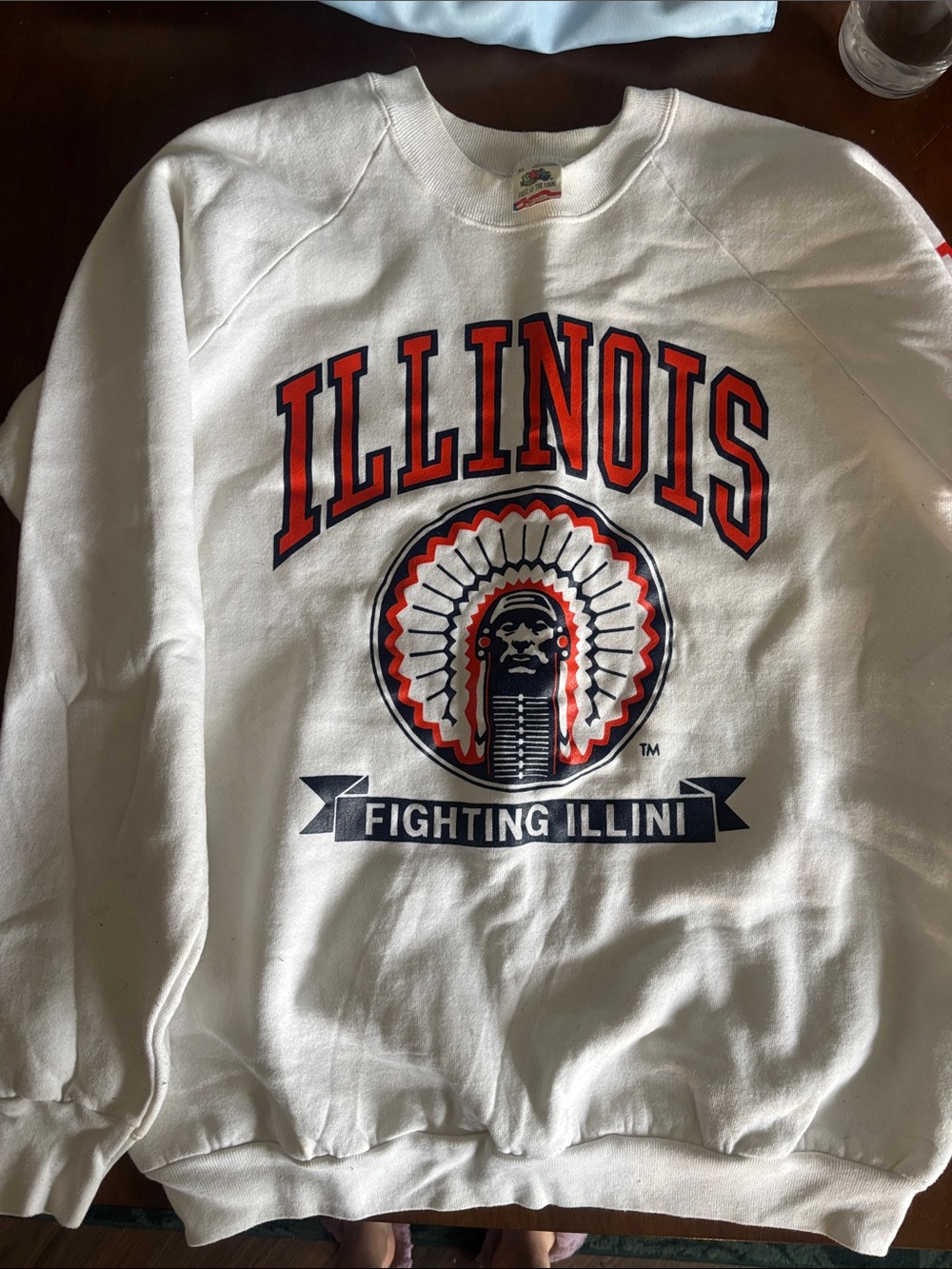 University of Illinois Fruit of the Loom White Graphic Crewneck Sweatshirt